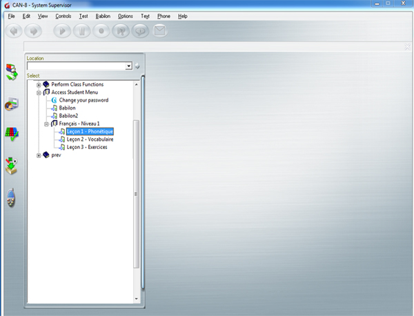 Player View